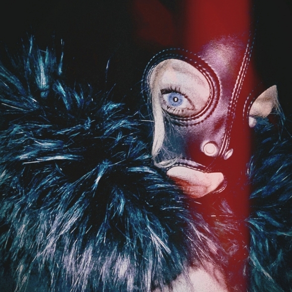 the gimp the moth and the trash baby - Picture 1 of 3